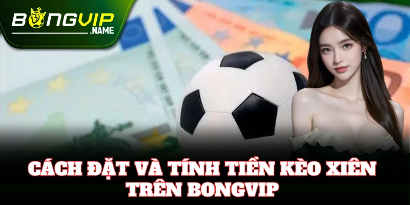 Kèo Xiên – Kinh Nghiệm Cá Cược Chuẩn Từ Cao Thủ Bongvip